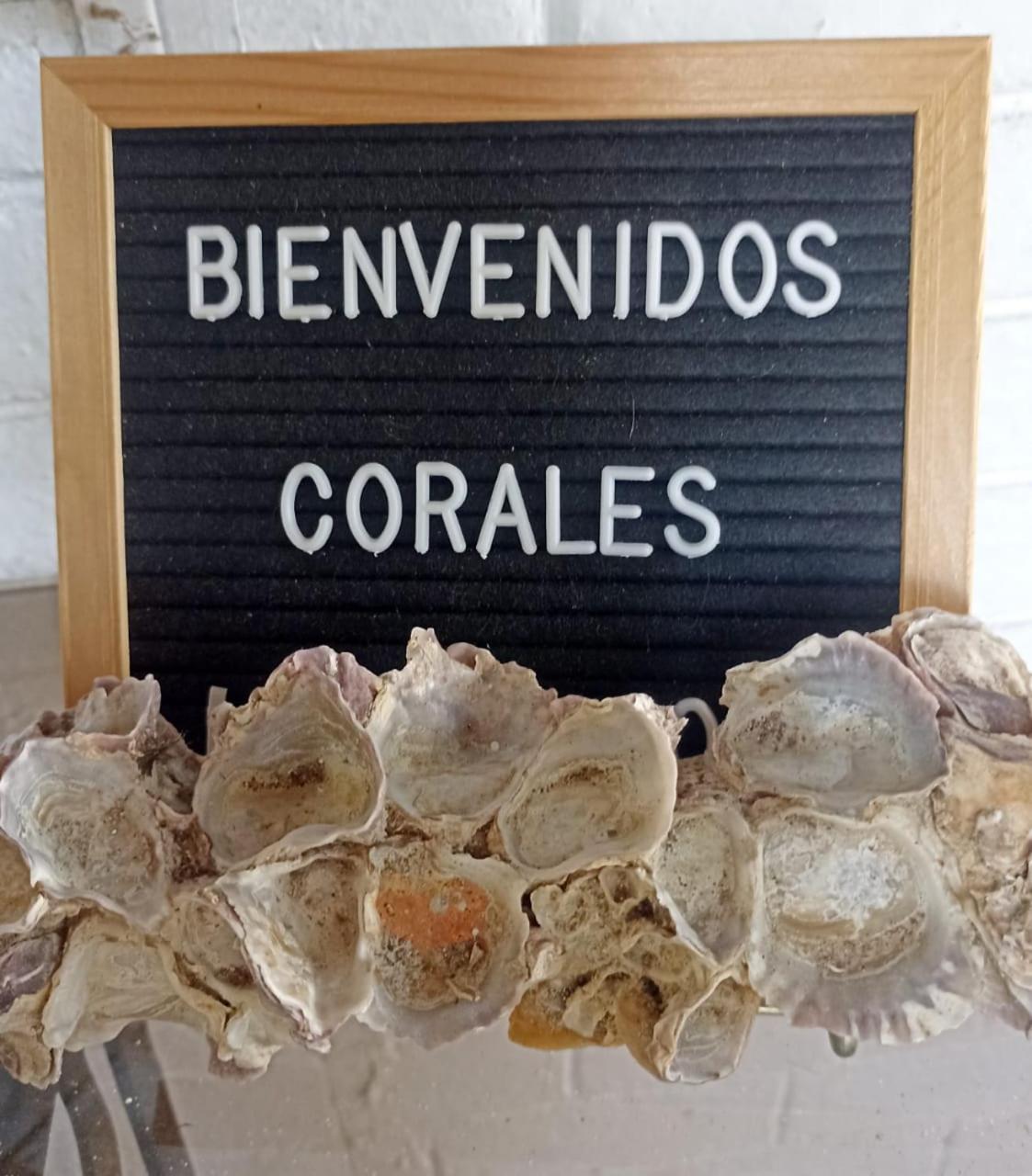 Hostal Corales Tolú المظهر الخارجي الصورة