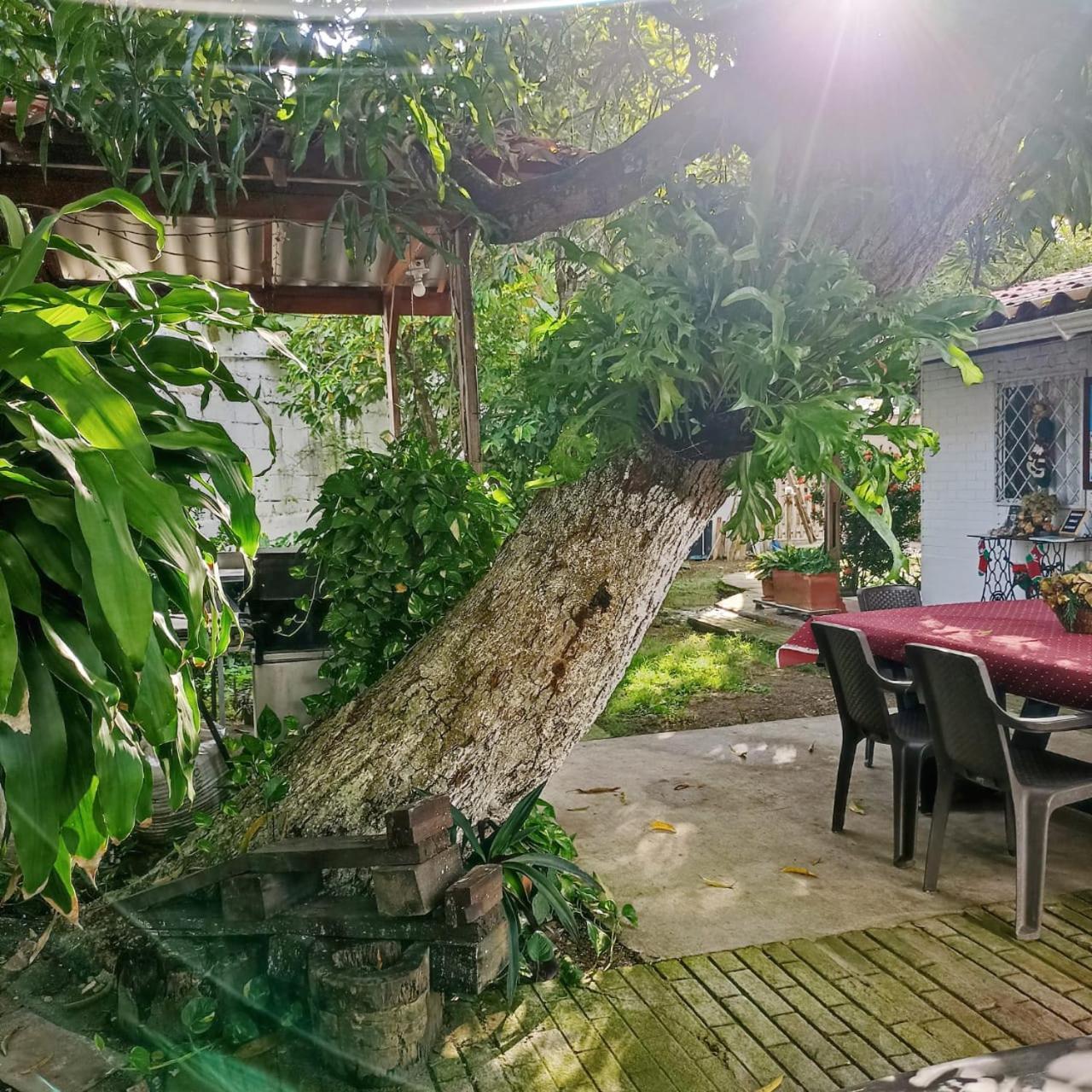 Hostal Corales Tolú المظهر الخارجي الصورة